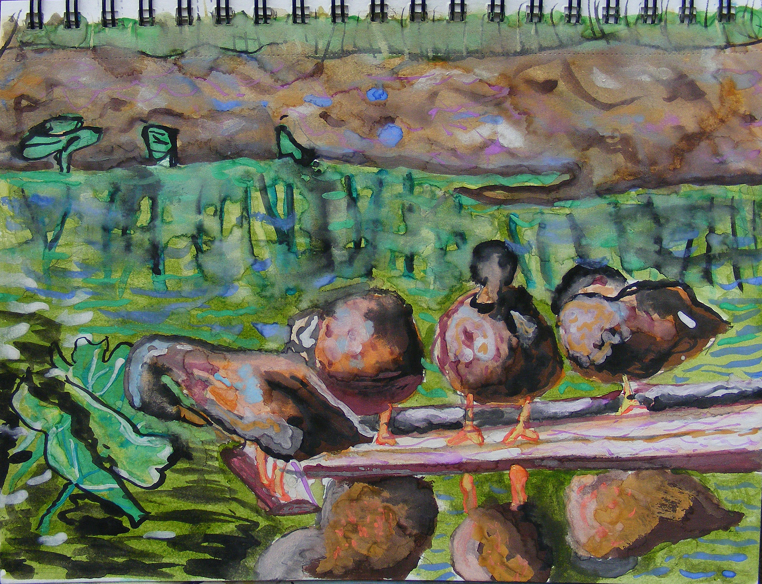 ducks_on_a_log_watercolour