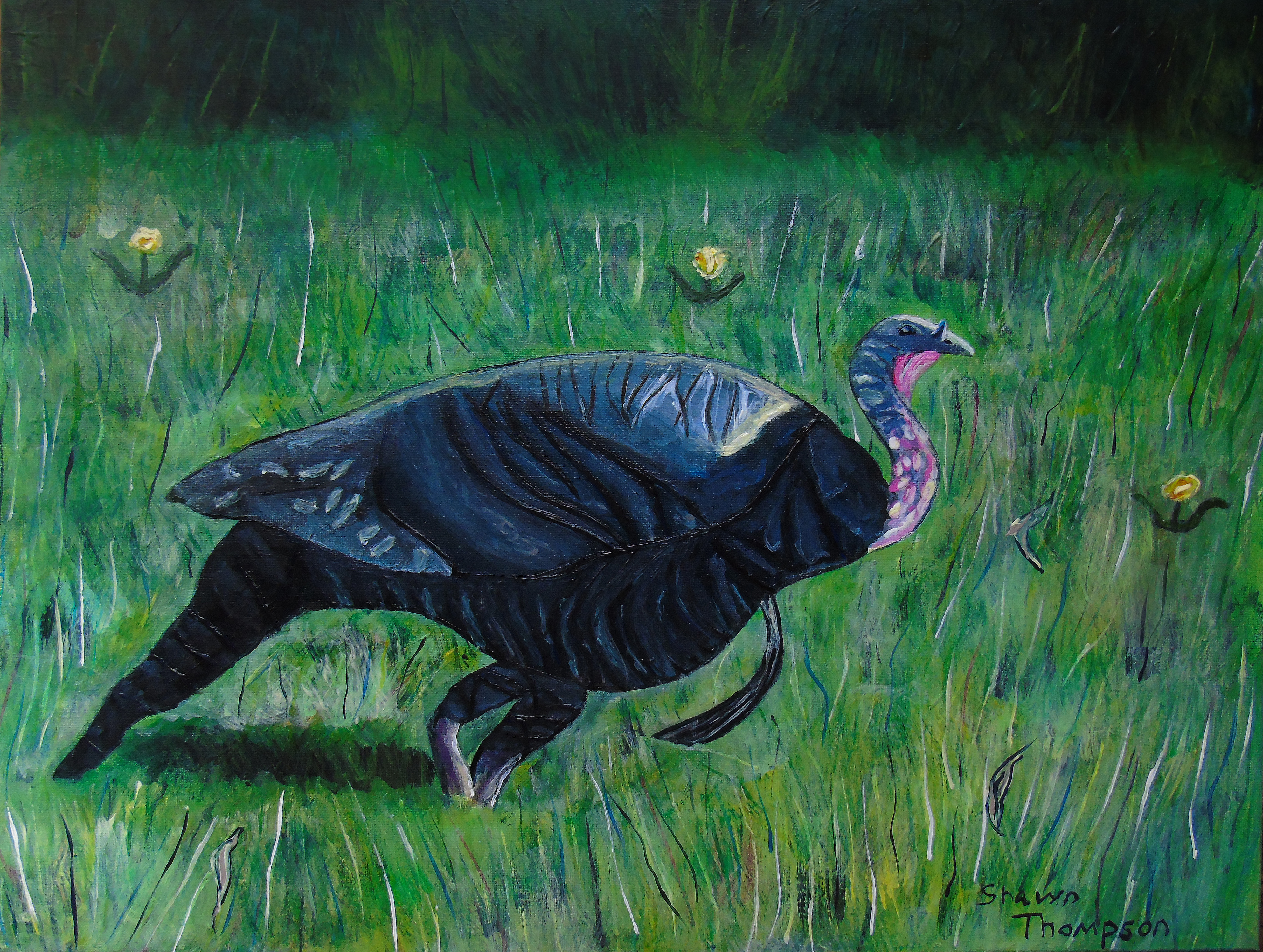 turkey_painting_final_finishtouch