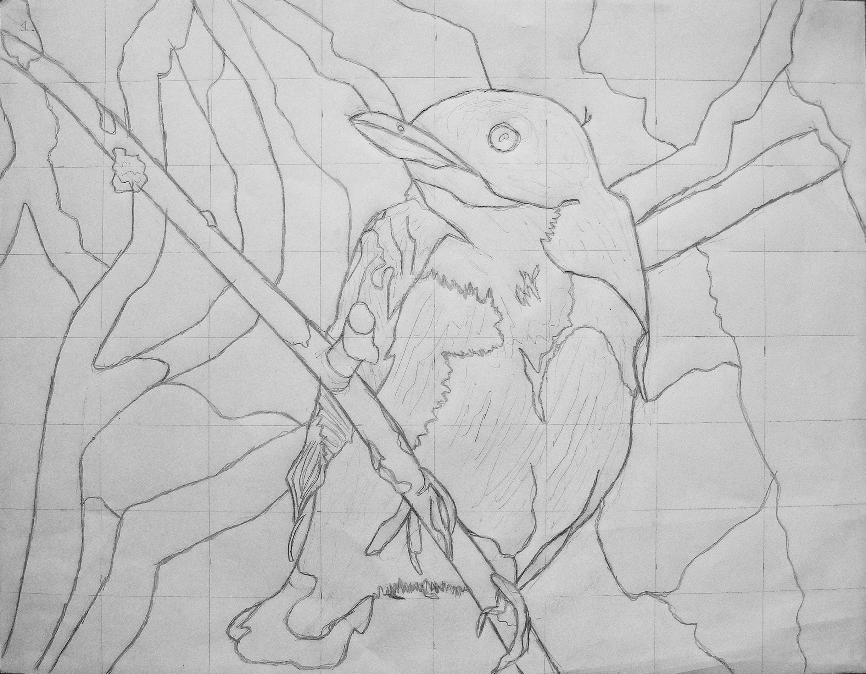 tree_swallow_drawing