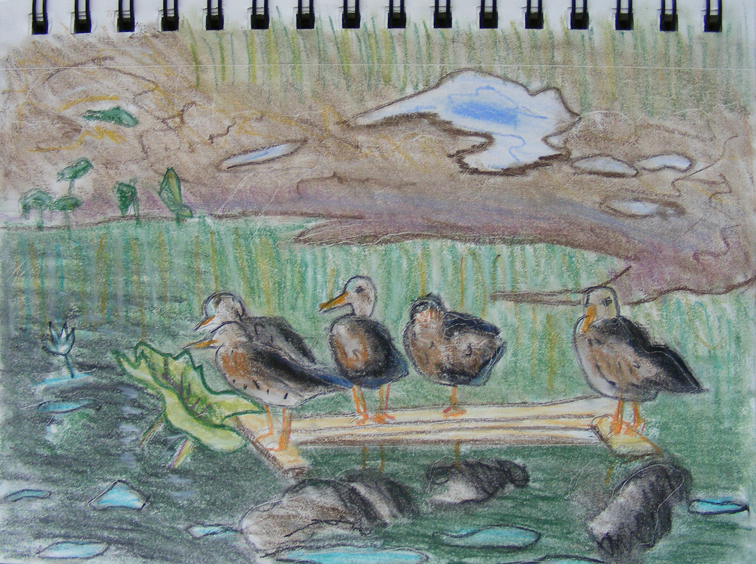 ducks_on_a_log2_qs