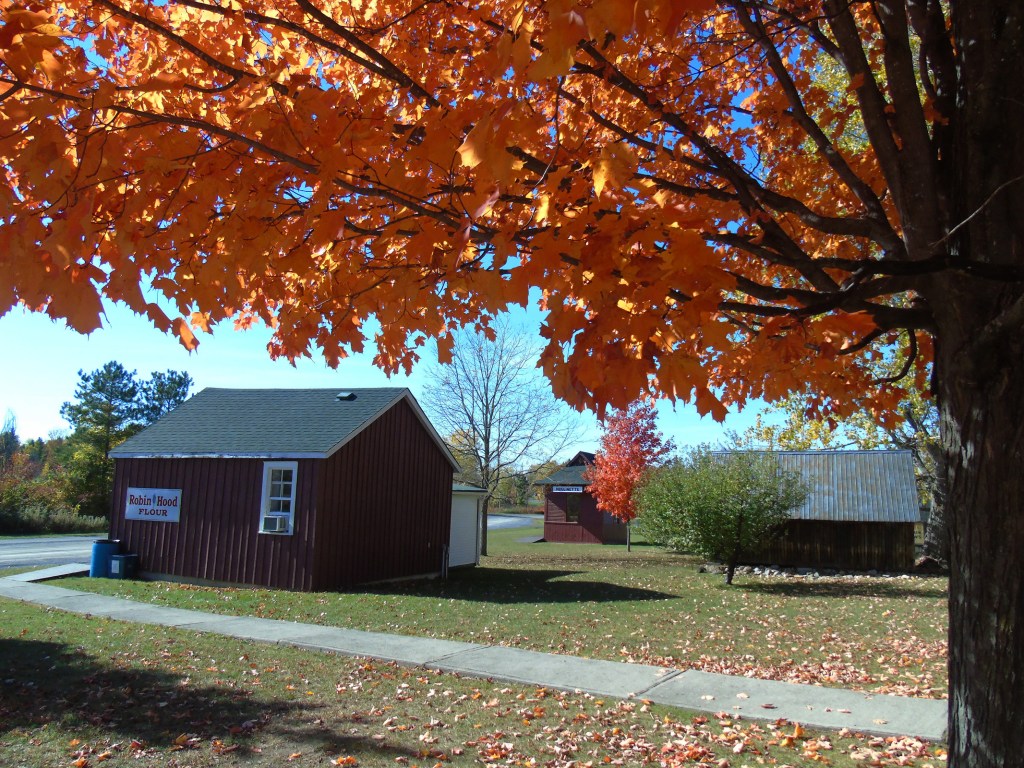 lost_villages_fall7_ul