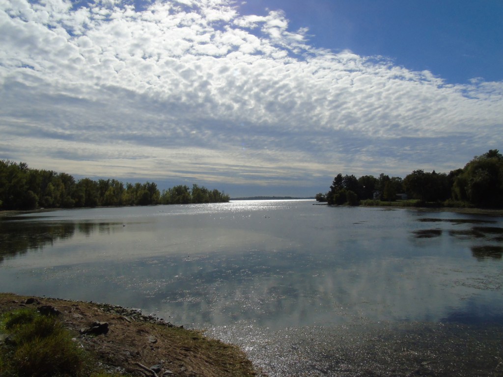 shimmering_water2016_ul