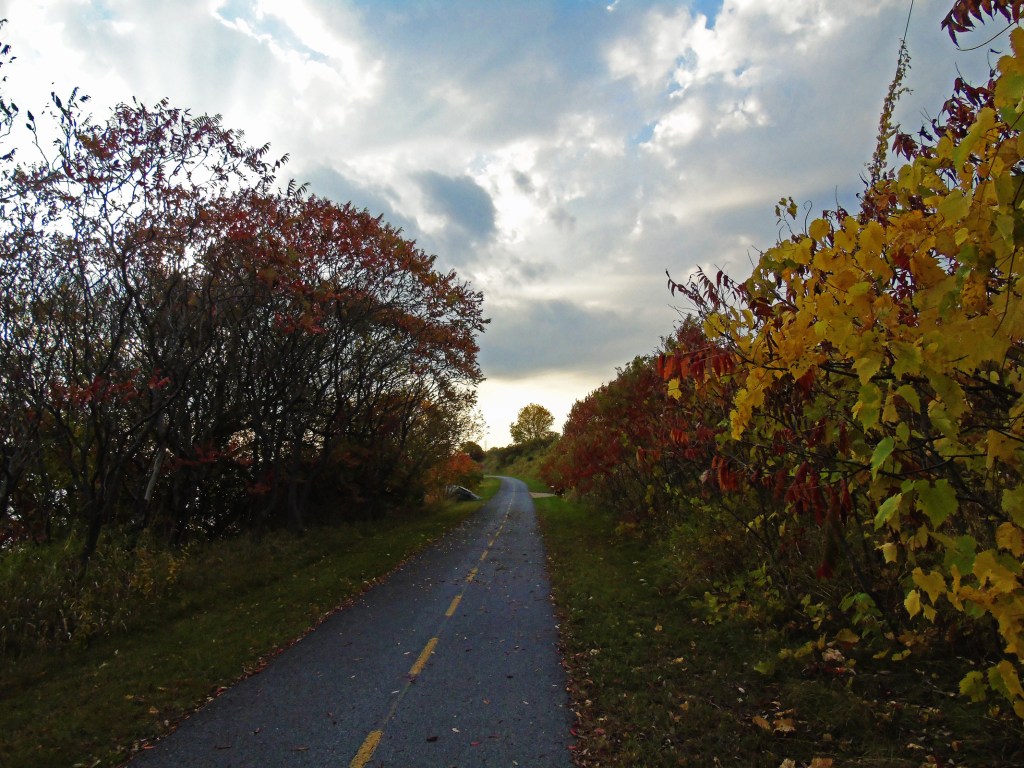 st_lawrence_sumac4_ul