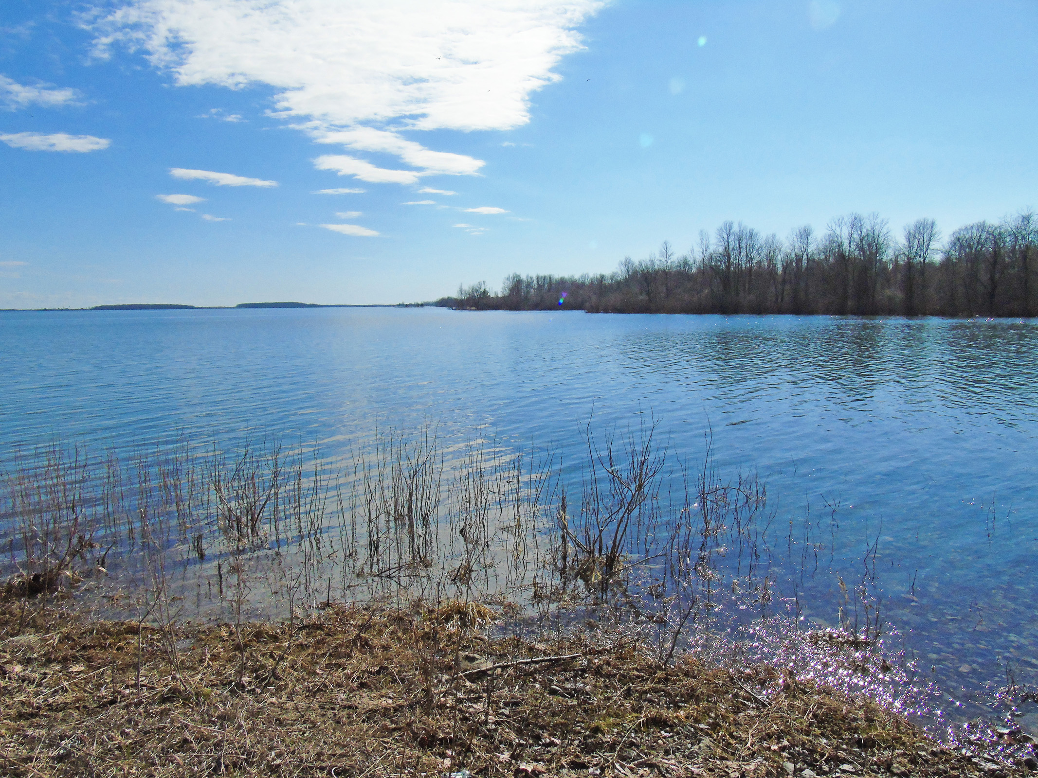 ault_beach_apr2019_2_ul