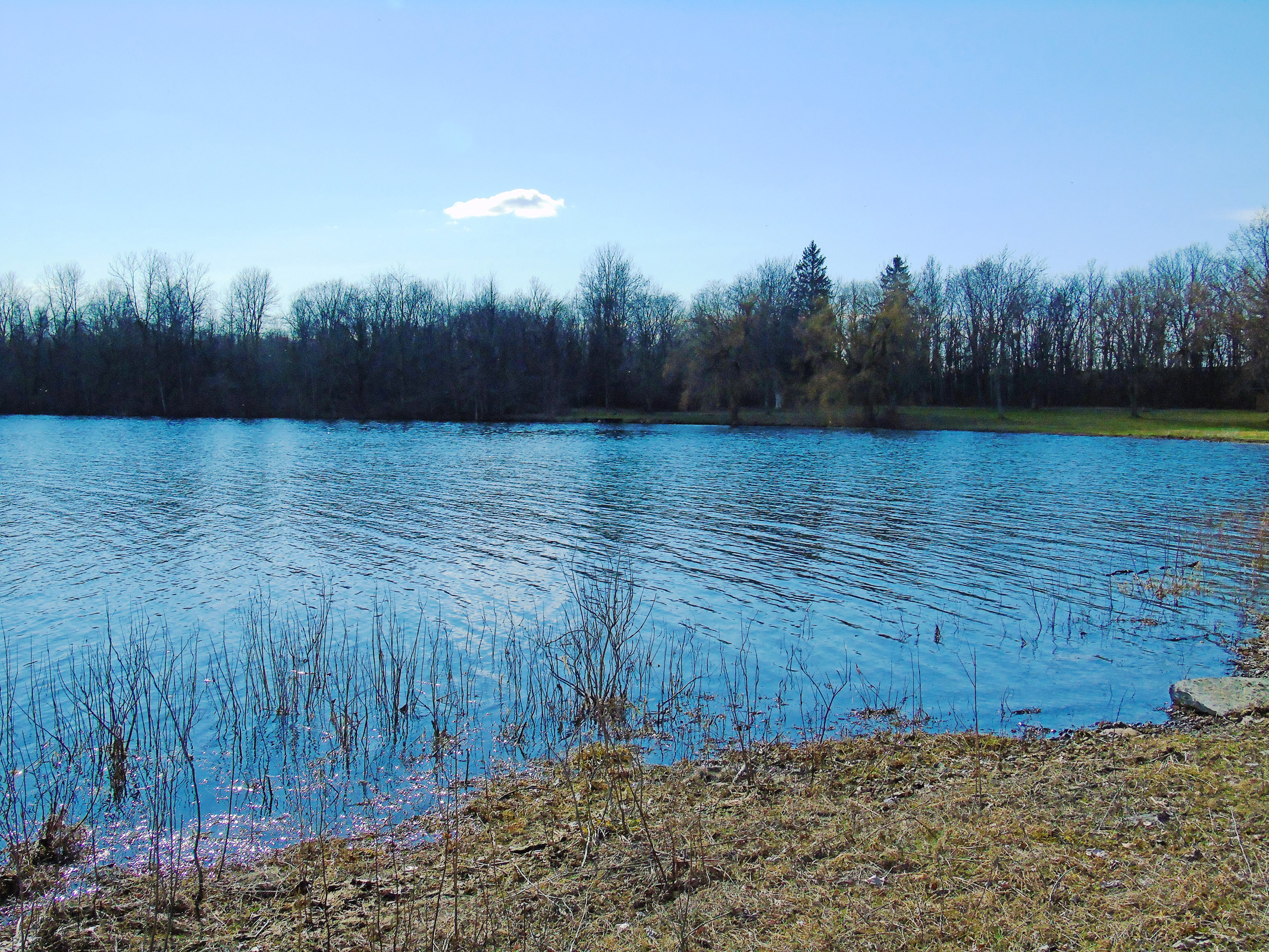 ault_beach_apr2019_highcontrast2_ul