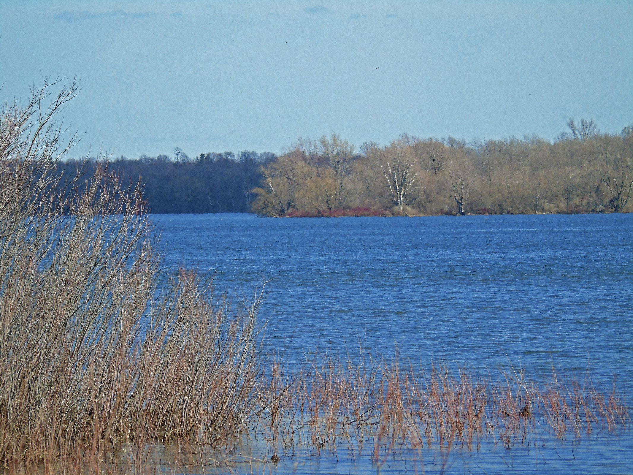 ault_beach_apr_2019_islands2_ul