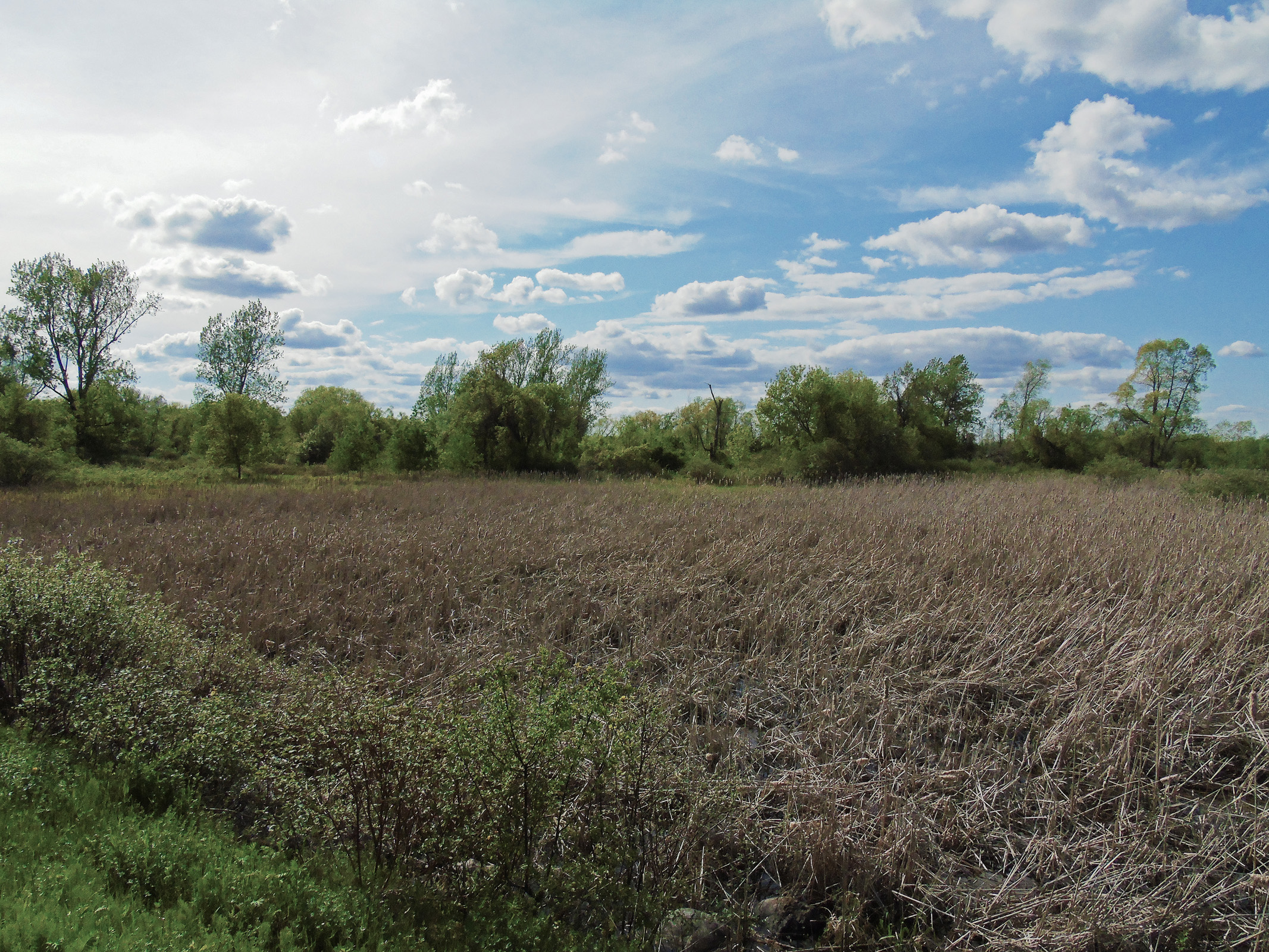 causway_marsh_sky2_ul