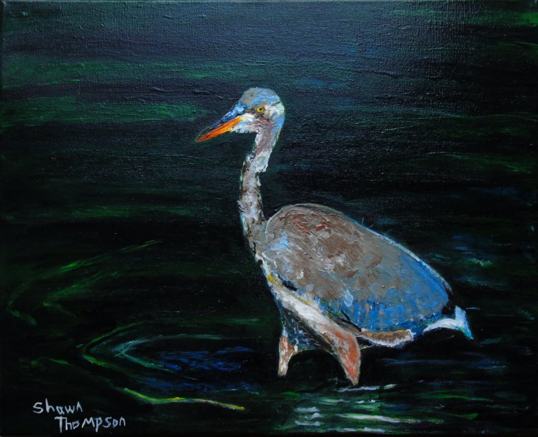 juvenile_heron_done_ul