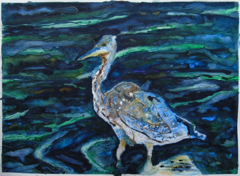 scruffy_heron_watercolour_ul