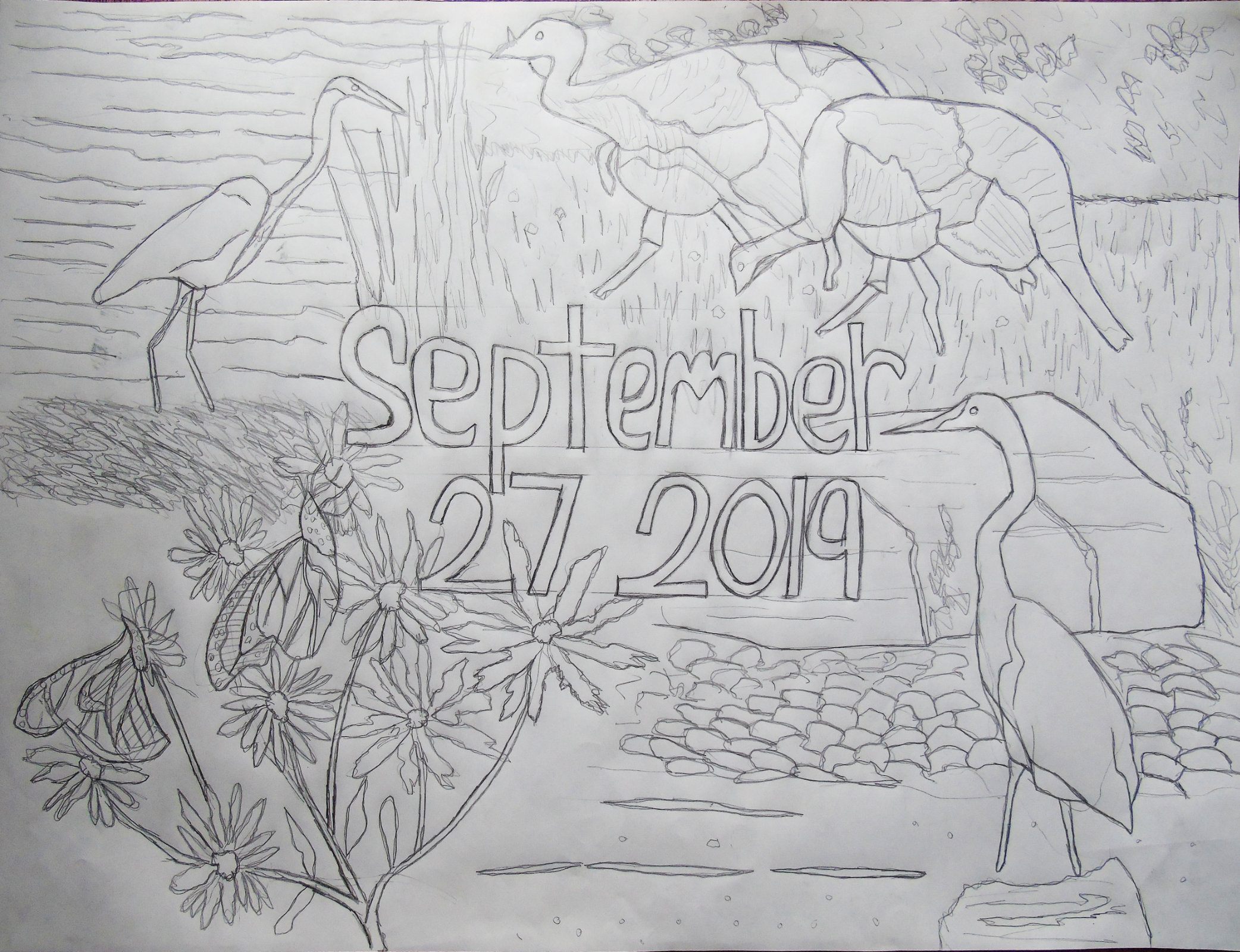 Bird_Collage_Drawing_ul