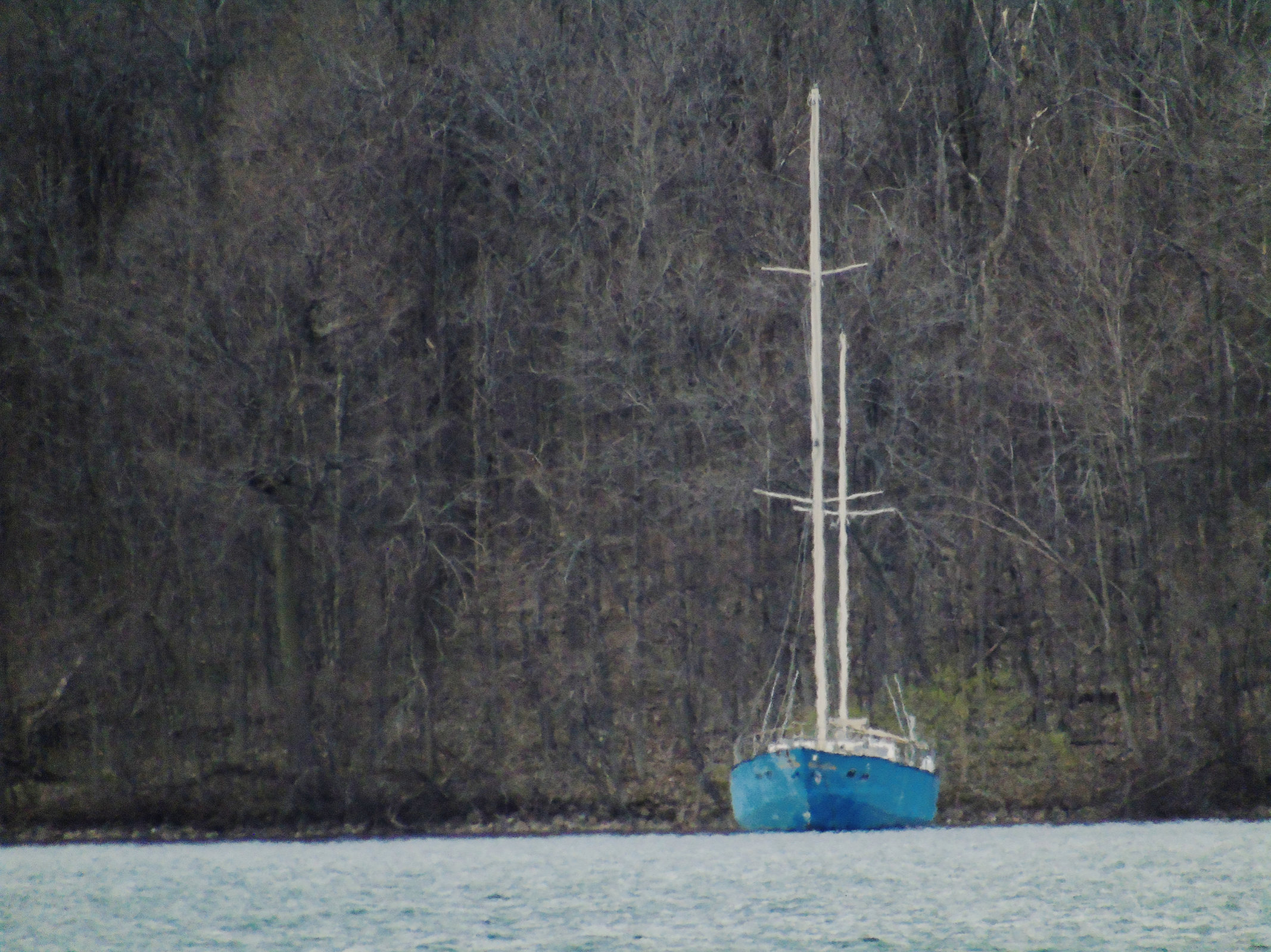 Blue sail 4