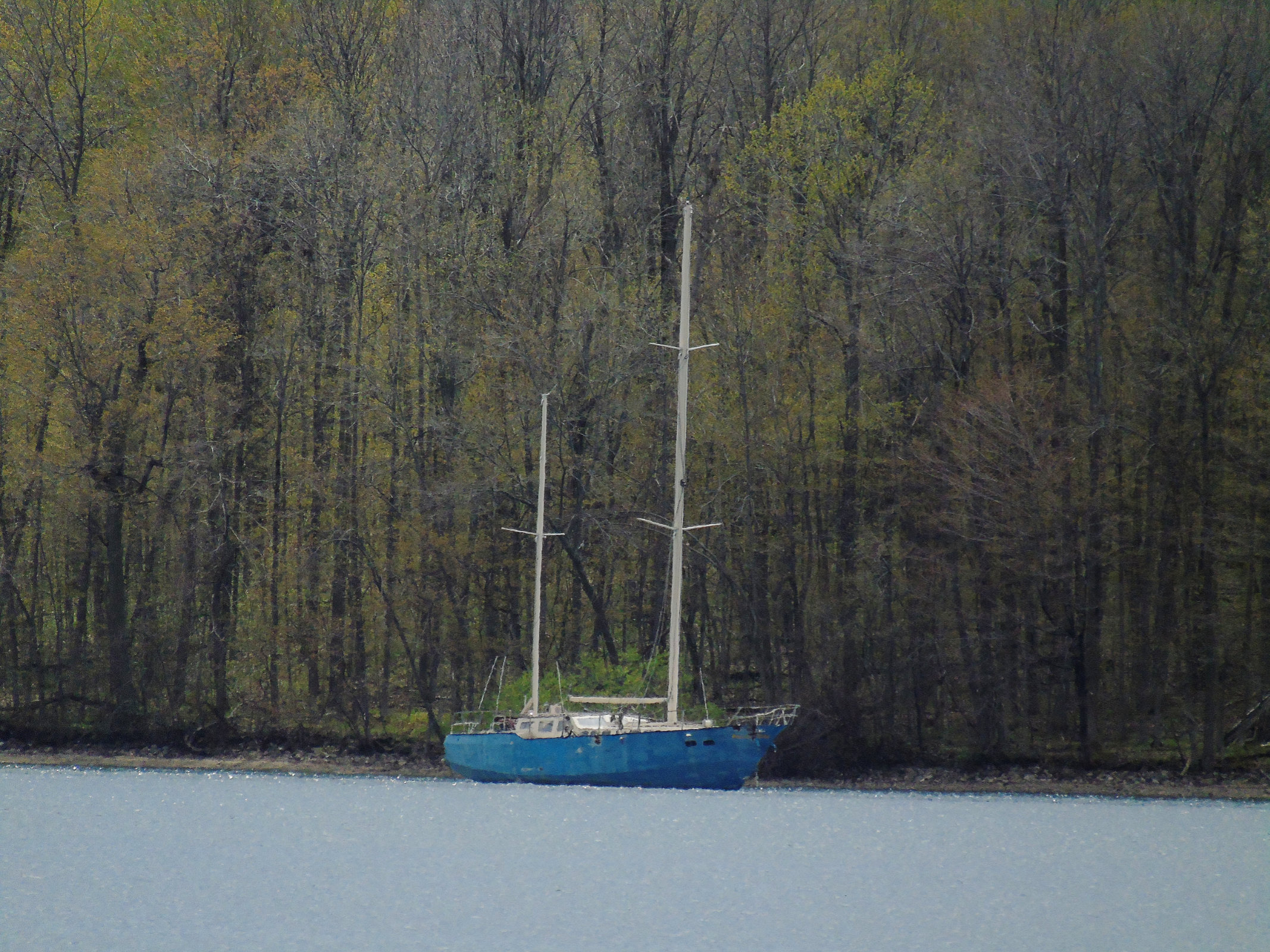 Blue Sailboat 1