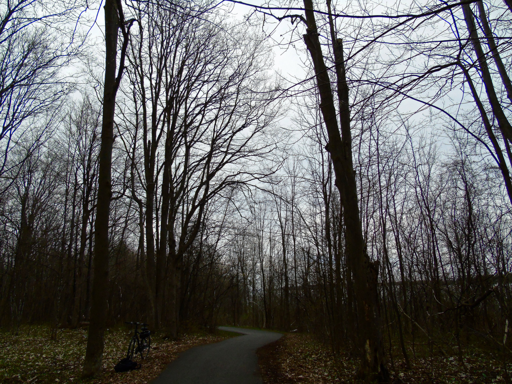 Trillium hill cloudy