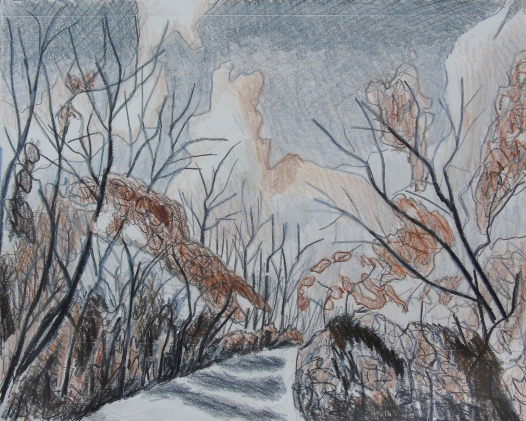 Burnt Sienna Polycromos Drawing